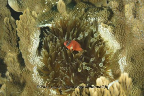 20180125 093042 2331