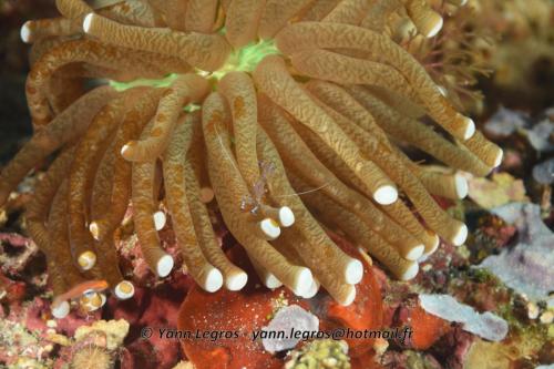 20180125 105333 2332