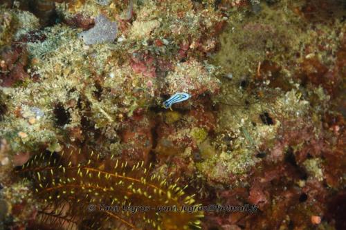 20180125 105615 2333