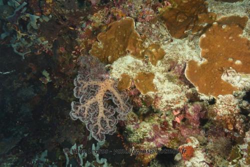 20180125 110707 2335