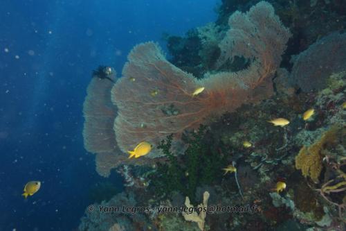 20180125 110838 2336