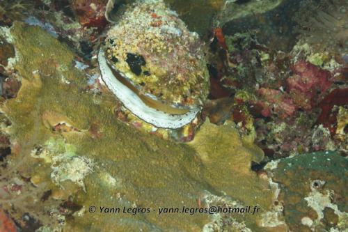 20180125 110906 2337