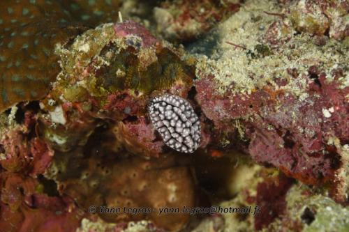 20180125 110953 2338