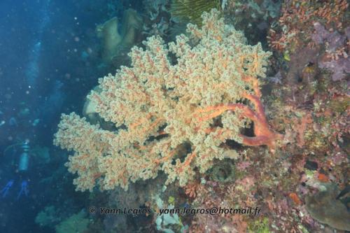 20180125 111302 2339