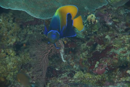 20180125 111706 2340