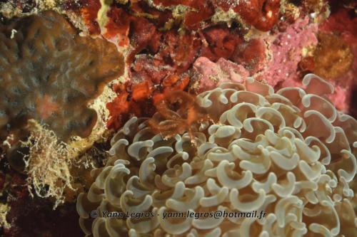 20180125 112048 2341