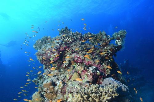 2019-11 St Johns (Egypte)