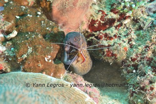 2025-04 Les Sulawesi